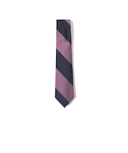 シルク ストライプ ネクタイ 25FW 1