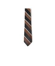 シルク ストライプ ネクタイ 25FW 2