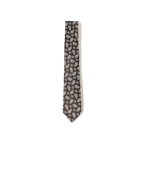 シルク ペイズリー ナロー ネクタイ 25FW