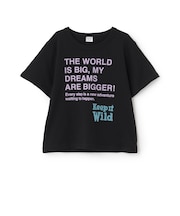 【綿100%】ドリームメッセージロゴ半袖Tシャツ