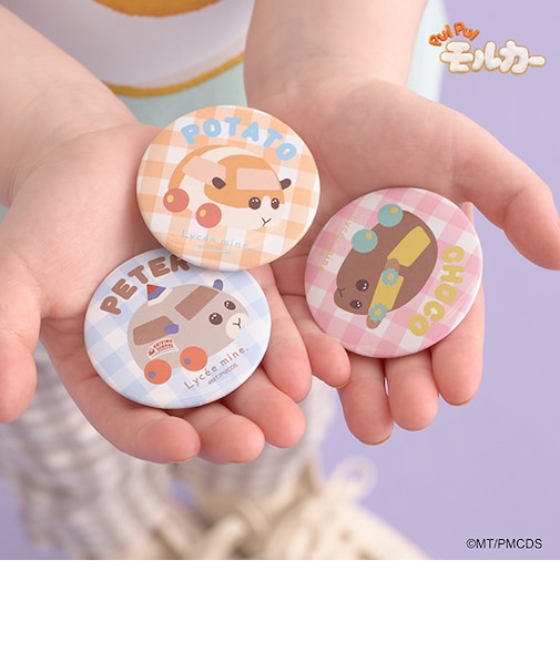 【PUI PUI モルカー】缶バッジ3Pセット