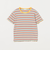 テレコ マルチボーダーＴシャツ / キッズ  140cm-160cm
