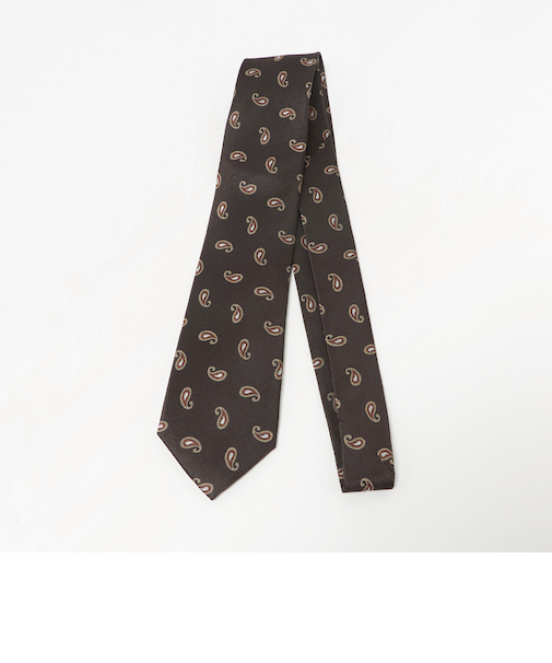 ペイズリー ネクタイ4＜A DAY IN THE LIFE＞