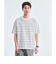 コットン ボーダー クルーネック Tシャツ