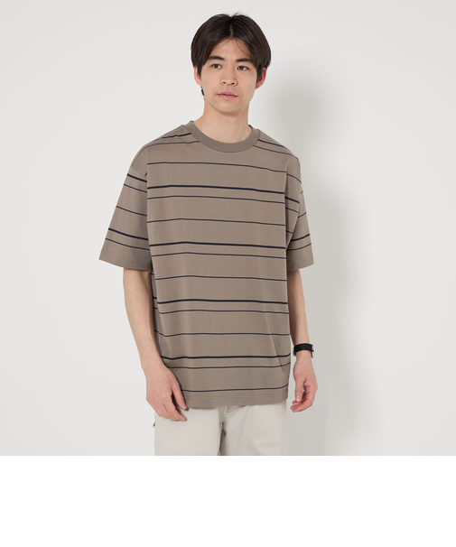 コットン ボーダー クルーネック Tシャツ