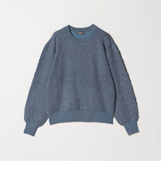 パフジャガード クルーネックニット ‐ウォッシャブル‐＜A DAY IN THE LIFE＞