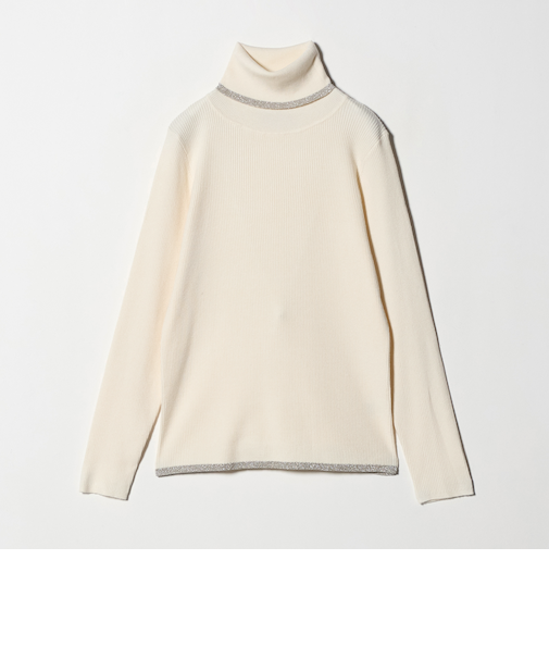 ハイゲージ リブ ラメライン タートルニット ‐ウォッシャブル‐＜A DAY IN THE LIFE＞