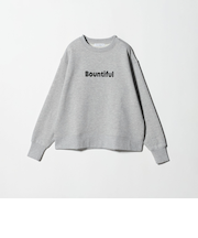 裏起毛 ロゴスウェット ＜A DAY IN THE LIFE＞