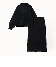 ラメハイネック＋スカート ＜A DAY IN THE LIFE＞