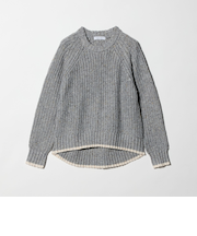 アゼ ネップ バイカラー ハイネックニット ＜A DAY IN THE LIFE＞