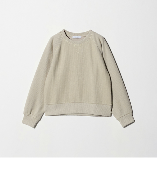 ニットライク ラメステッチ スウェット <A DAY IN THE LIFE>