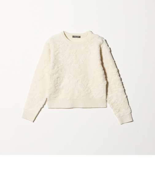 ループジャガード クルーネックニット ＜A DAY IN THE LIFE＞