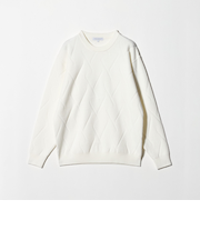 ミドルゲージ リンクス クルーネックニット-ウォッシャブル-＜A DAY IN THE LIFE＞