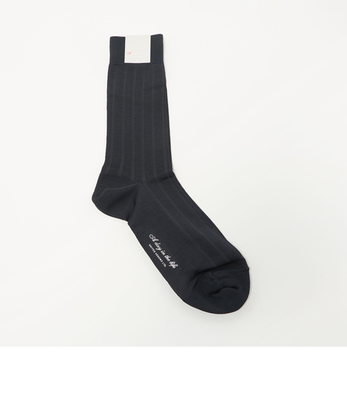 シルケット ストライプ レギュラーソックス＜A DAY IN THE LIFE＞