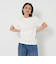 コットン天竺 Tシャツ