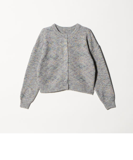 メランジ 2WAY カーディガン ＜A DAY IN THE LIFE＞