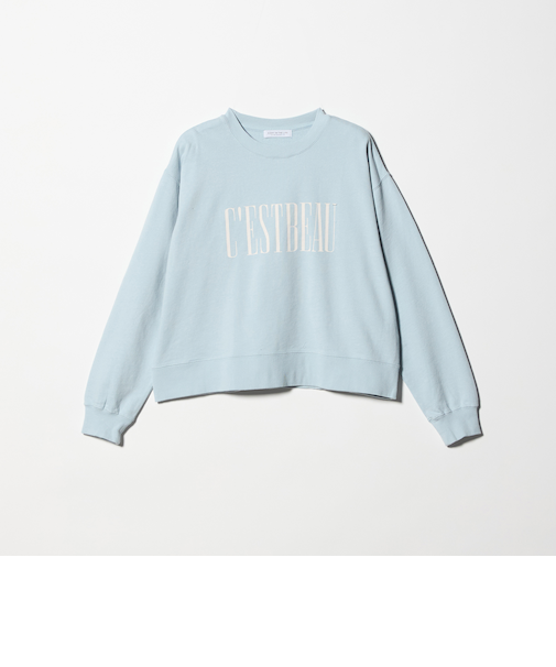 ヴィンテージライク ロゴスウェット ＜A DAY IN THE LIFE＞