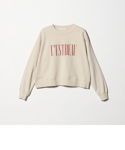 ヴィンテージライク ロゴスウェット <A DAY IN THE LIFE>