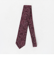 ペイズリー ネクタイ 2＜A DAY IN THE LIFE＞