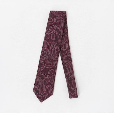 ペイズリー ネクタイ 2＜A DAY IN THE LIFE＞