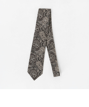 ペイズリー ネクタイ 1＜A DAY IN THE LIFE＞