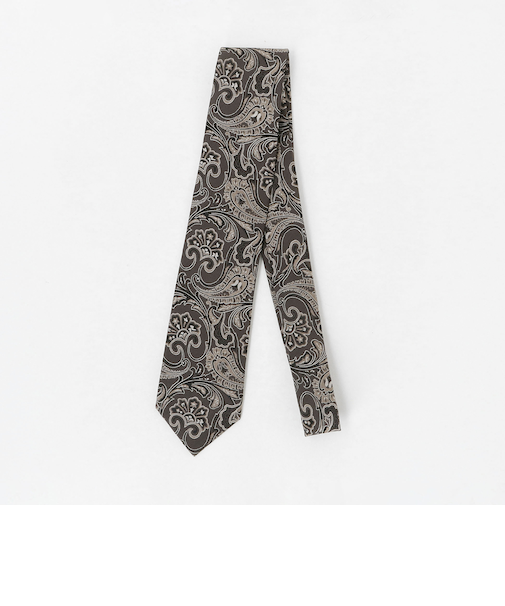 ペイズリー ネクタイ 1＜A DAY IN THE LIFE＞