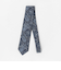 ペイズリー ネクタイ 1＜A DAY IN THE LIFE＞