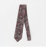 ペイズリー ネクタイ 1＜A DAY IN THE LIFE＞