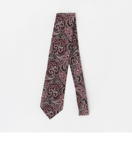 ペイズリー ネクタイ 1＜A DAY IN THE LIFE＞