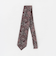 ペイズリー ネクタイ 1＜A DAY IN THE LIFE＞