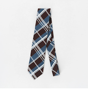 チェック ネクタイ 2＜A DAY IN THE LIFE＞