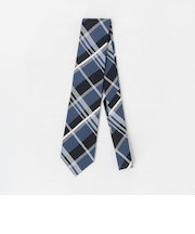 チェック ネクタイ 2＜A DAY IN THE LIFE＞