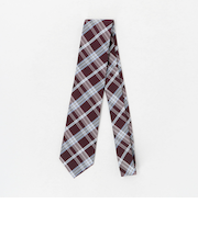 チェック ネクタイ 1＜A DAY IN THE LIFE＞
