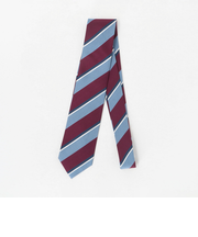 ストライプ ネクタイ 1＜A DAY IN THE LIFE＞