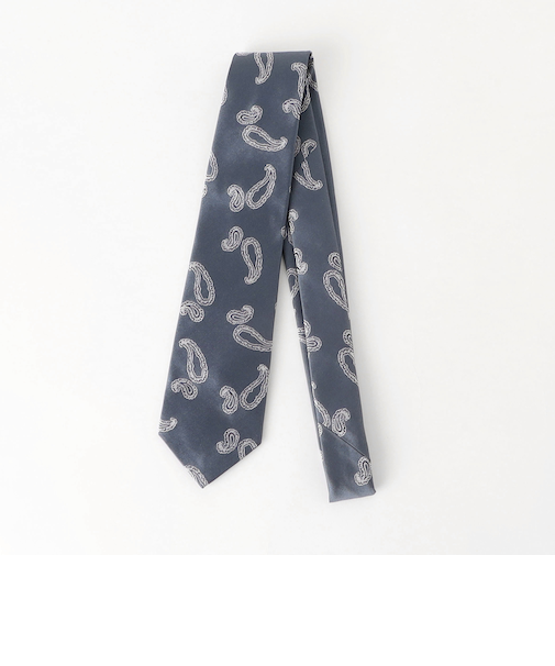 <Seaward & Stearn>8.0cm ペイズリー2 ネクタイ