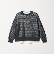 ラメライン メッシュニット＋Tシャツ ‐ウォッシャブル‐ ＜A DAY IN THE LIFE＞