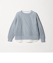 ラメライン メッシュニット＋Tシャツ ‐ウォッシャブル‐ ＜A DAY IN THE LIFE＞