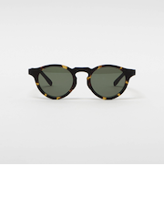 【別注】＜Eyevol PLUS＞ Alfred 49/サングラス