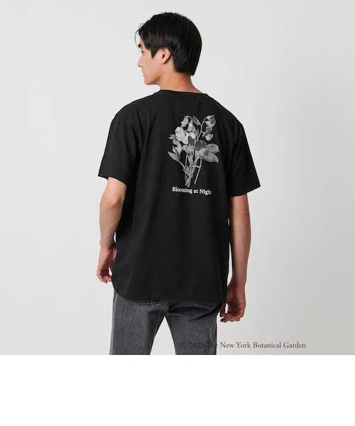 【OLIVE】サマーシルケットスムース クルーネック T サマーシルケットスムース クルーネック T