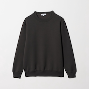 シャイニー クルーネック スウェット＜A DAY IN THE LIFE＞