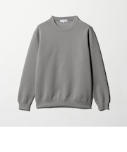 シャイニー クルーネック スウェット＜A DAY IN THE LIFE＞