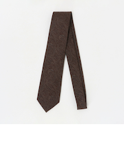 ペイズリー ネクタイ 2＜A DAY IN THE LIFE＞