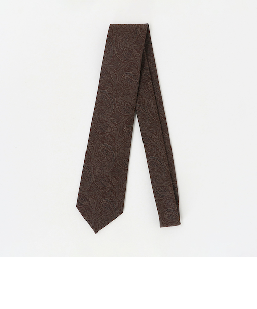 ペイズリー ネクタイ 2＜A DAY IN THE LIFE＞