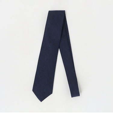 ペイズリー ネクタイ 2＜A DAY IN THE LIFE＞