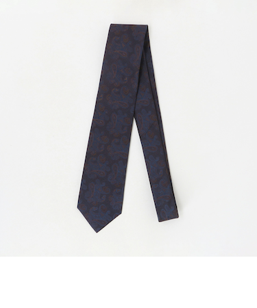 ペイズリー ネクタイ1＜A DAY IN THE LIFE＞