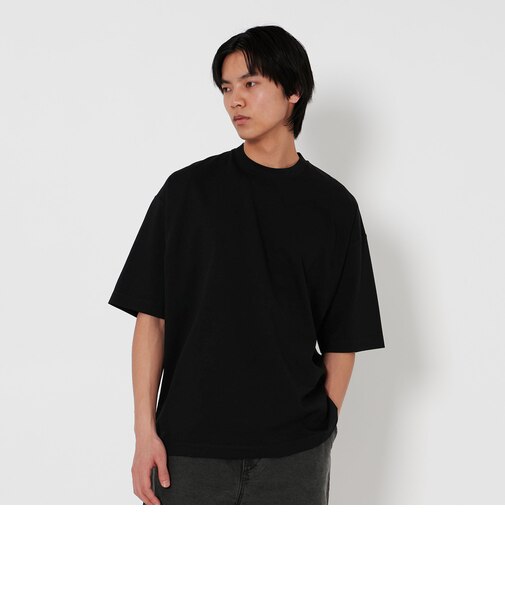 ＜H＞ダルシャイニー クルーネック ショートスリーブ