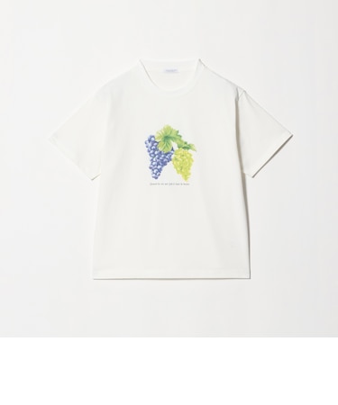 コットン フルーツプリントTシャツ <A DAY IN THE LIFE>
