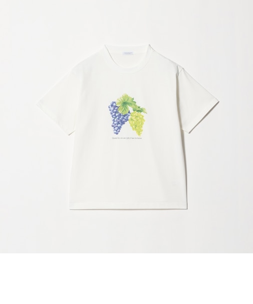 コットン フルーツプリントTシャツ <A DAY IN THE LIFE>