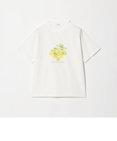 コットン フルーツプリントTシャツ ＜A DAY IN THE LIFE＞