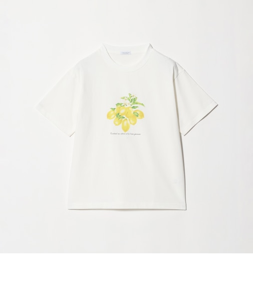 コットン フルーツプリントTシャツ ＜A DAY IN THE LIFE＞